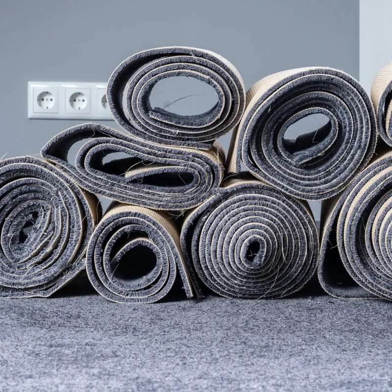 apis commercial hiver Québec avec fibres absorbantes